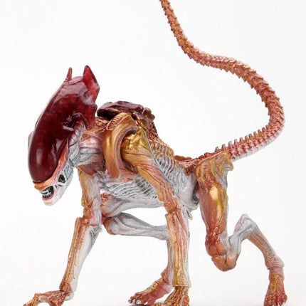 Panther Alien (Kenner Hołd) Kosmici Figurka 23cm